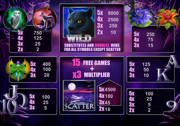 Panther Moon