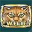 Играть бесплатно в Wild North